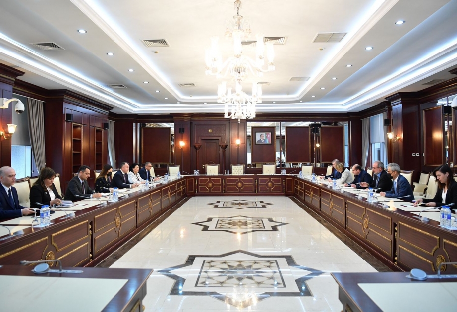 Bruno Pozzi: İşğaldan azad edilmiş ərazilərdə böyük miqyasda bərpa və quruculuq işləri aparılır