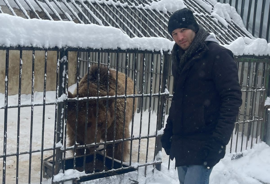 İsrailin Safari zooparkının baş baytar həkimi Altıağacda saxlanılan 10 qonur ayıya baxış keçirib