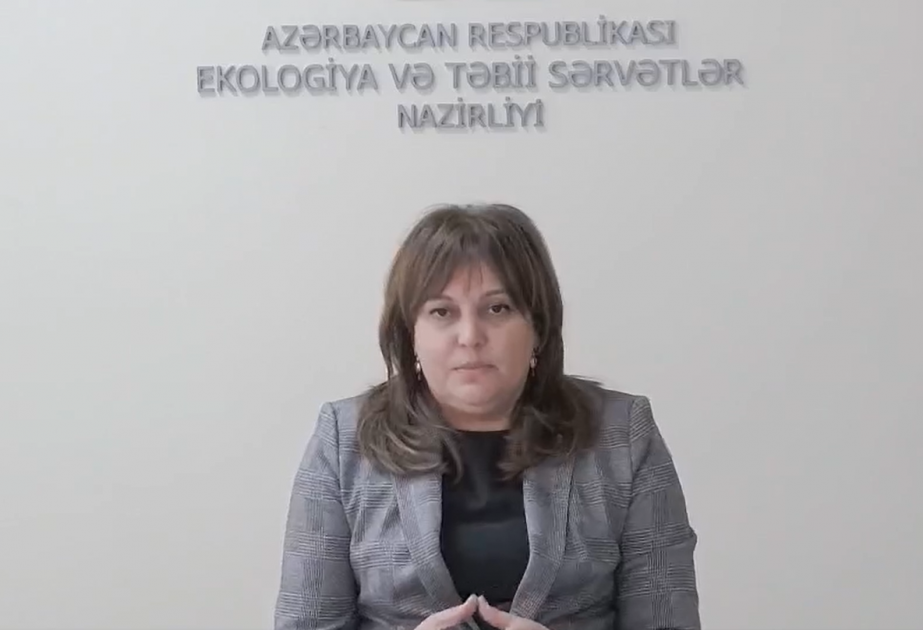 Umayra Tağıyeva: 17 gün ərzində Abşeron yarımadasında düşən yağıntının miqdarı aylıq normanı ötüb