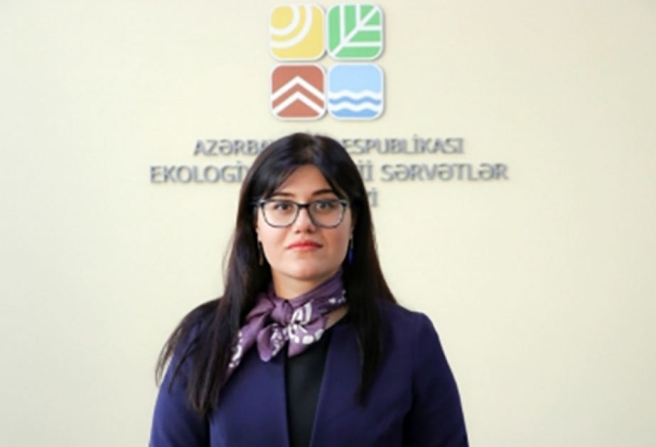 Xocasən gölü ətrafında yaşıl koridorun yaradılması işləri davam edir