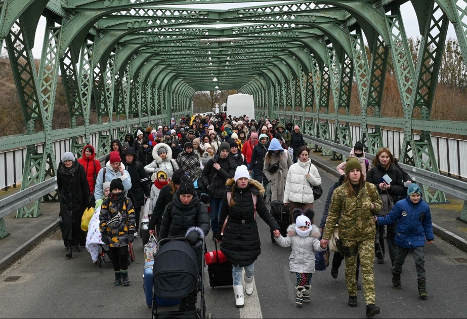 Португалия приняла 17 504 беженца из Украины
