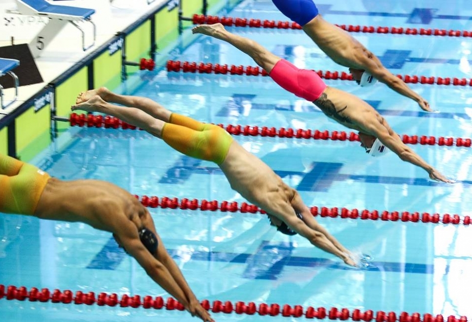 Международная федерация плавания отстранила россиян от соревнований под эгидой организации