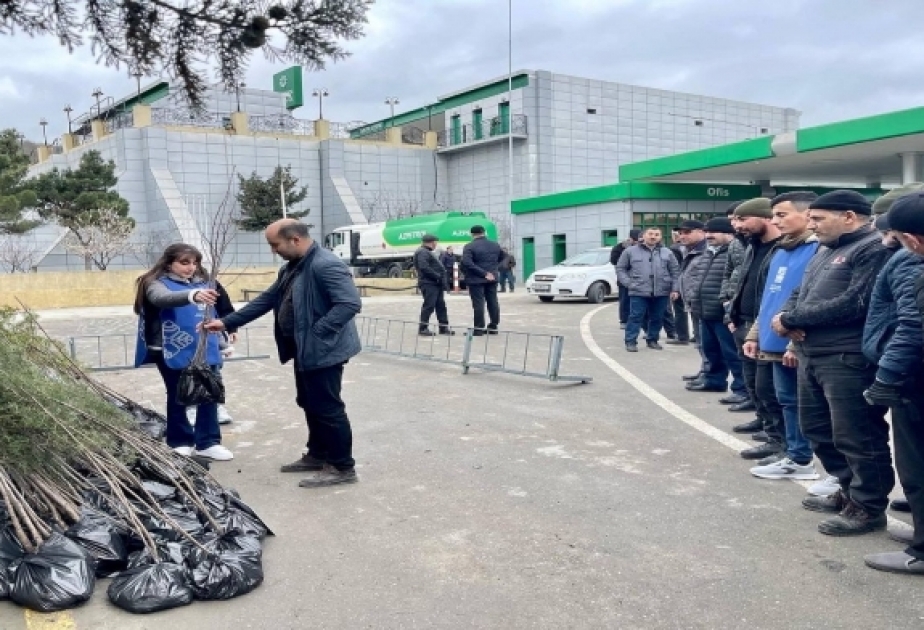 Şabranda vətəndaşlara sərv, tuya, gilas, xurma və heyva tingləri hədiyyə edilib