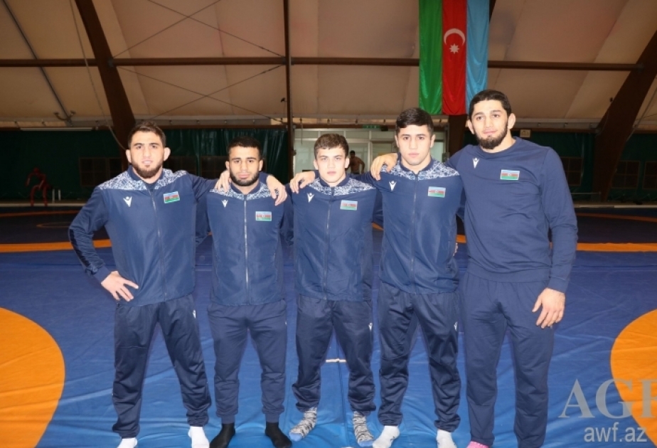 Four Azerbaijani wrestlers reach European Championships final