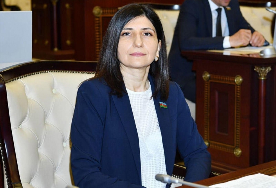 Deputat: Erməni cəlladlarının əsrlər boyu türk-müsəlman əhalisinə qarşı həyata keçirdikləri soyqırımı siyasəti cavabsız qalmayıb
