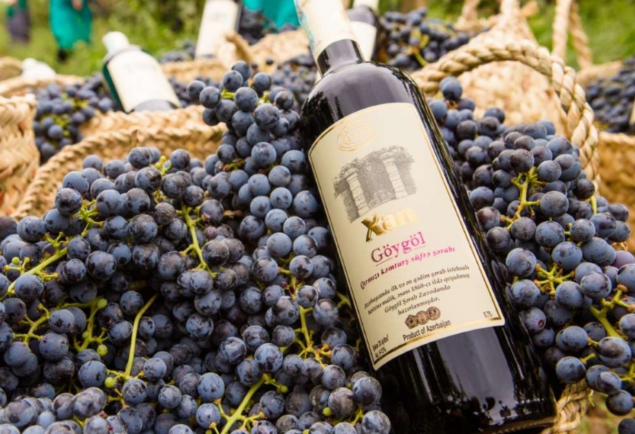 Winemaking tradition of Azerbaijan