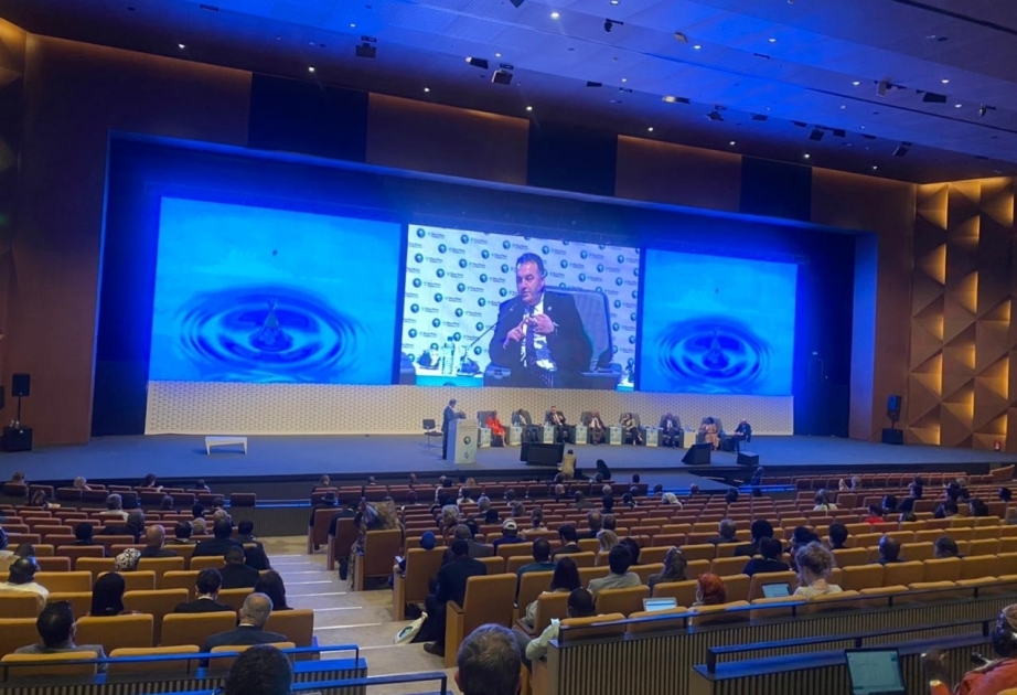 Azerbaijan joins 9th World Water Forum