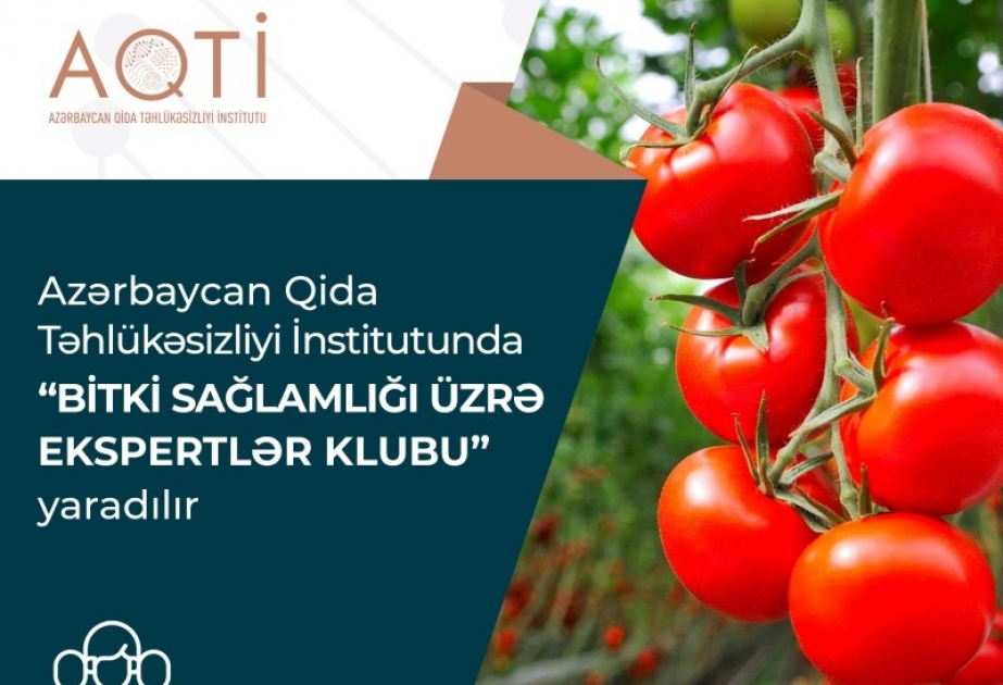 Qida Təhlükəsizliyi İnstitutunda “Bitki sağlamlığı üzrə ekspertlər klubu” yaradılır