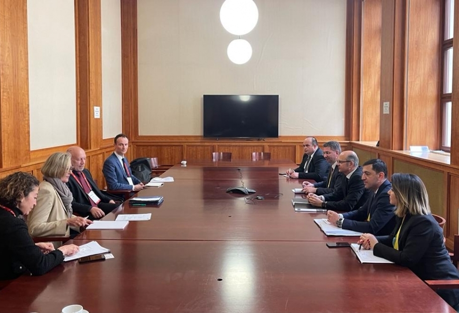 Azerbaijani Energy Minister holds meetings in Germany