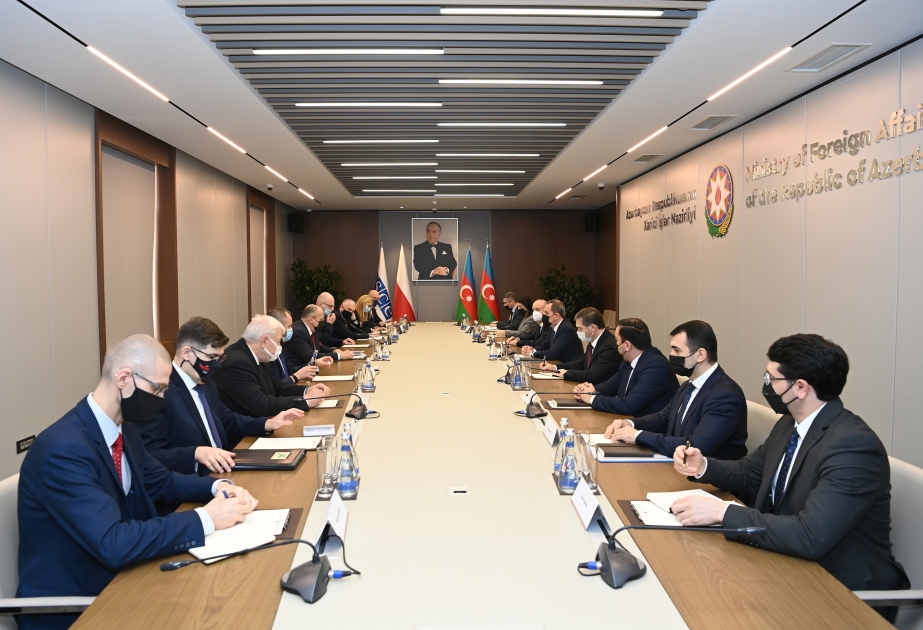 Azərbaycanın xarici işlər naziri polşalı həmkarı ilə görüşüb