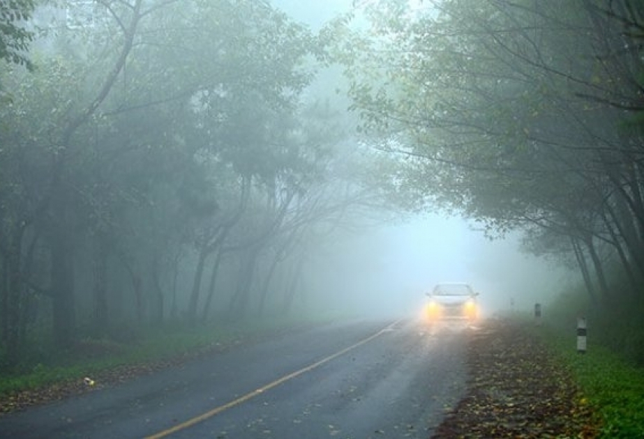 В связи с туманной погодой ограничена видимость на некоторых участках автомобильных дорог