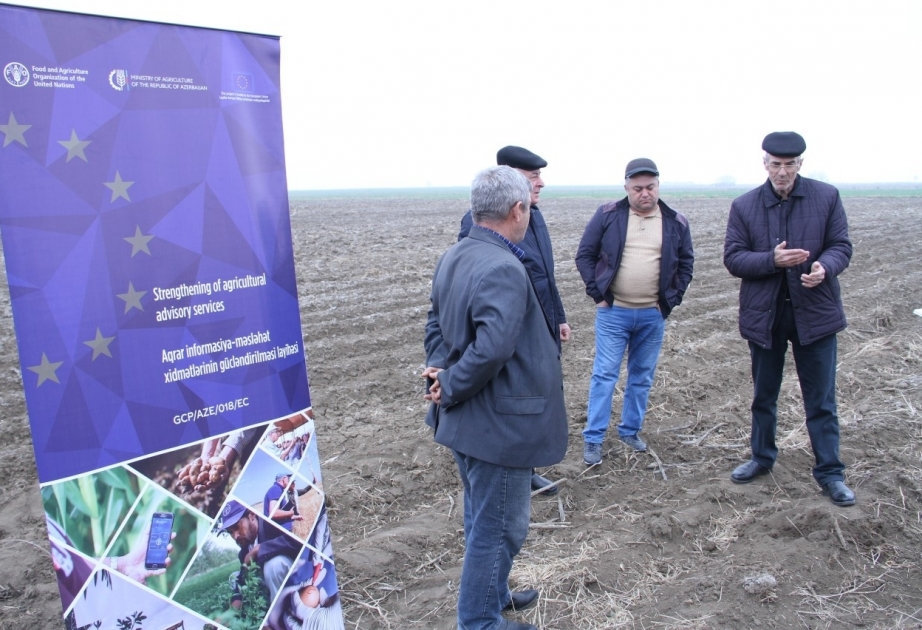 Agro-experts invited to provide advisory services to farmers in Guba-Khachmaz and Ganja-Gazakh regions of Azerbaijan