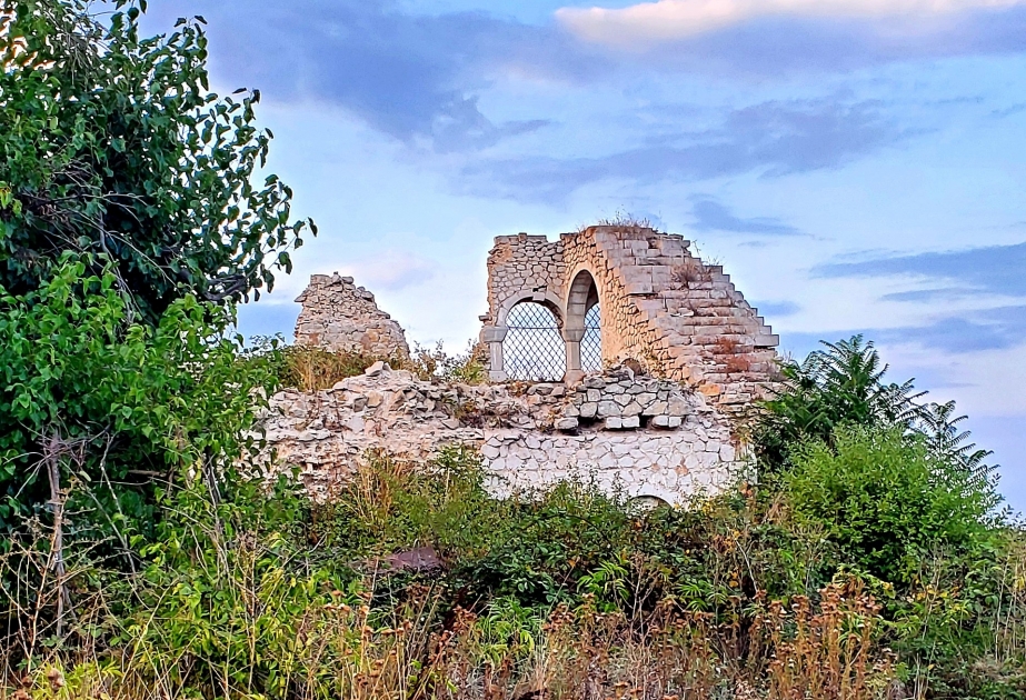Domaine des Hadji Goulou à Choucha