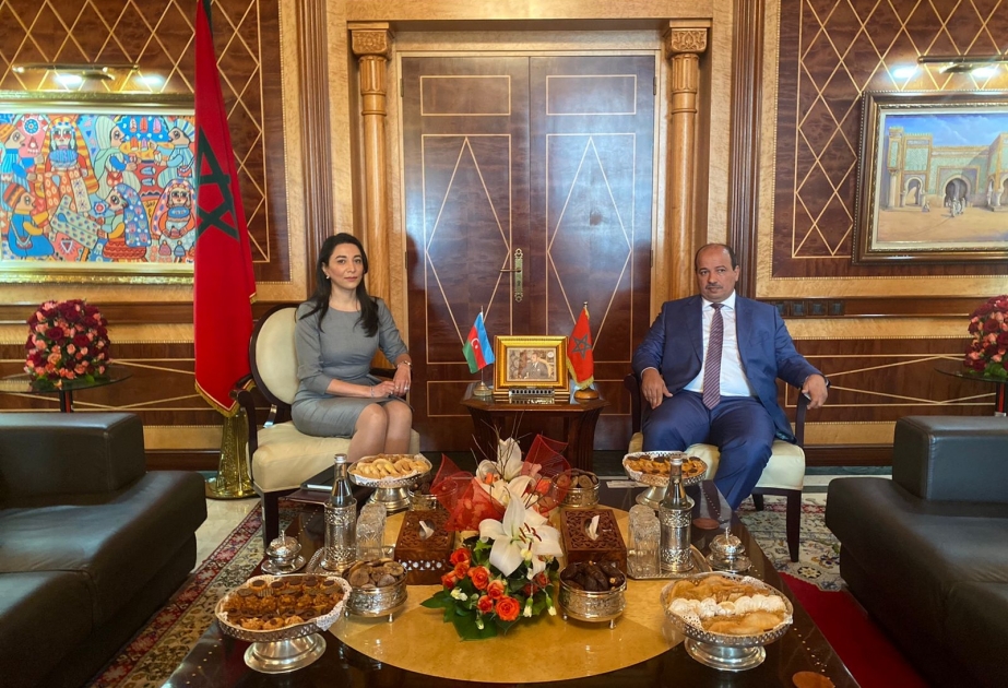 Ombudsman Səbinə Əliyeva Mərakeş Krallığı Parlamentində görüşlər keçirib