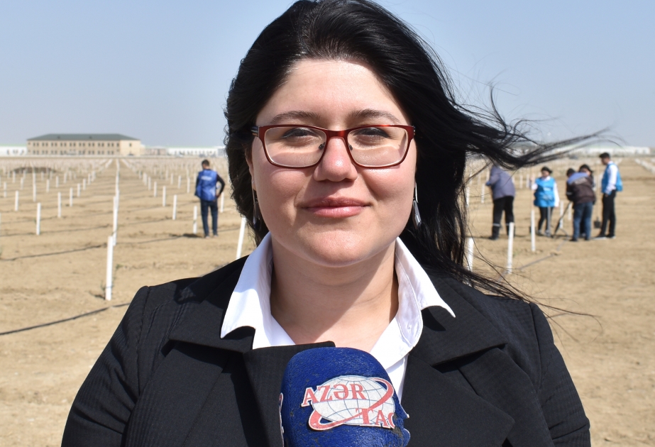 Bu gün əkilən fidanlar bu yerlərə gözəllik gətirən parklara çevriləcək
