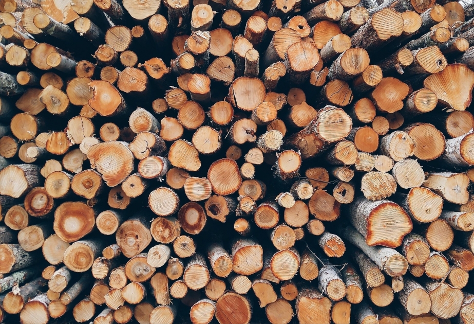 Región rusa de Kirov exporta madera a Azerbaiyán