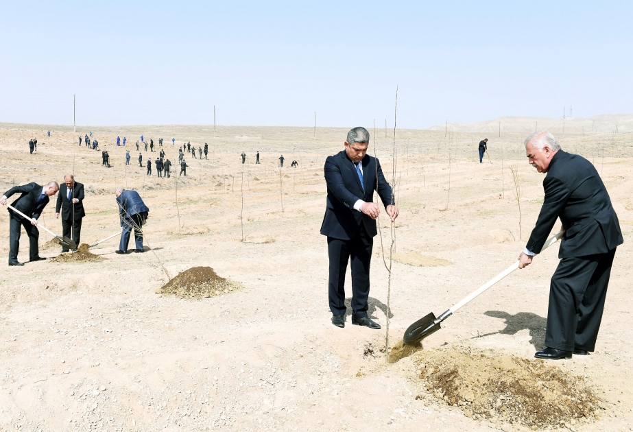 Naxçıvanda soyqırımı qurbanlarının əziz xatirəsinə həsr olunmuş ağacəkmə keçirilib