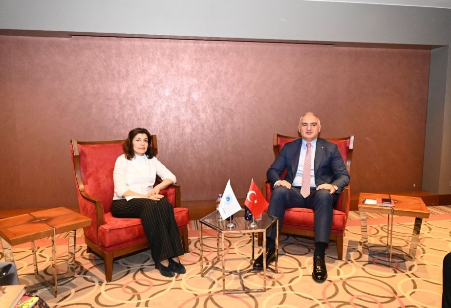 久奈·埃芬季耶娃会见土耳其文化和旅游部长