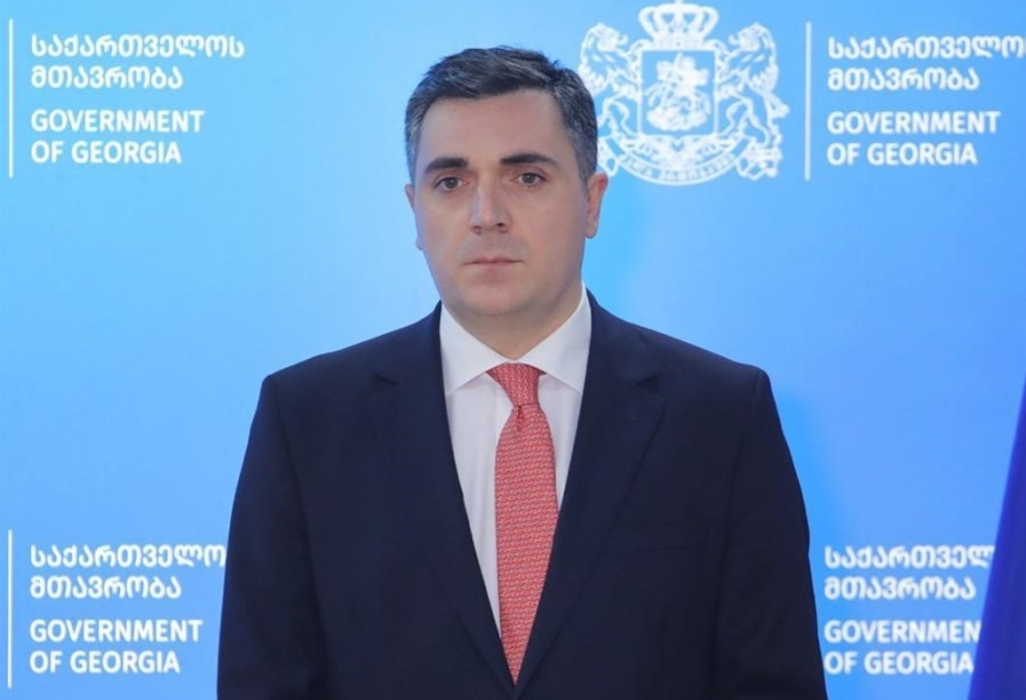 Назначен новый министр иностранных дел Грузии