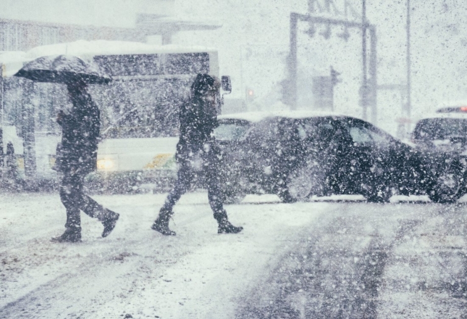 Снег, выпавший в Румынии, парализовал населенные пункты