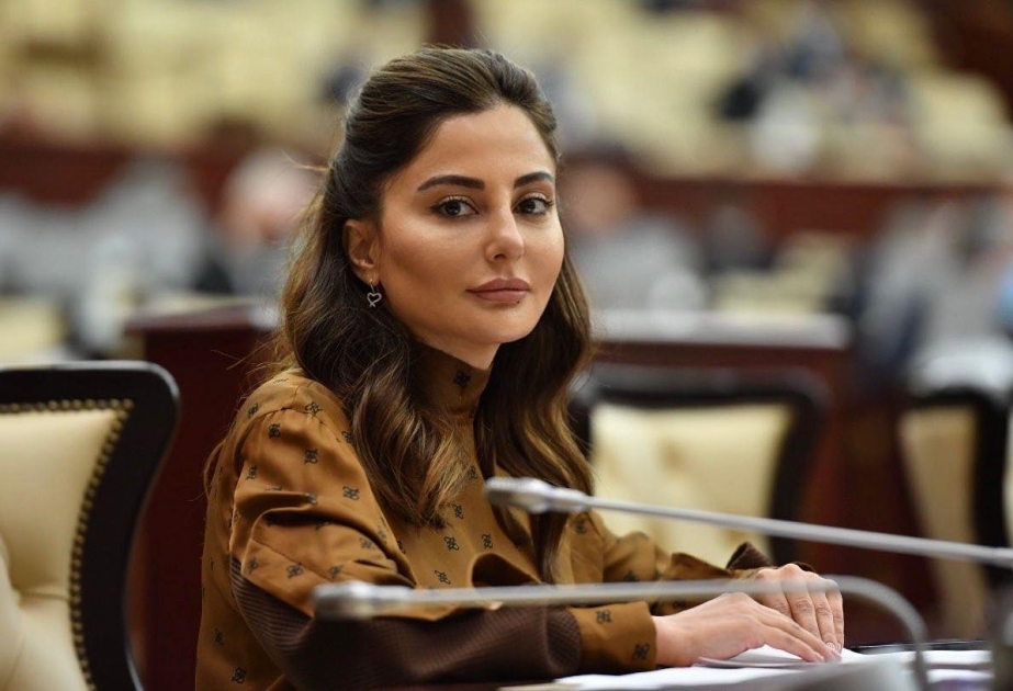 Deputat: Korrupsiyaya qarşı preventiv tədbirlər dövlət siyasətinin əsas istiqamətlərindəndir