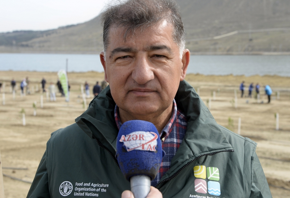 Nazir müavini: Ağac əkməklə insanların təmiz oksigenlə təmin olunması işinə öz töhfəmizi vermiş oluruq