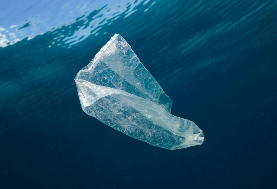 Arktis stark mit Plastik vermüllt