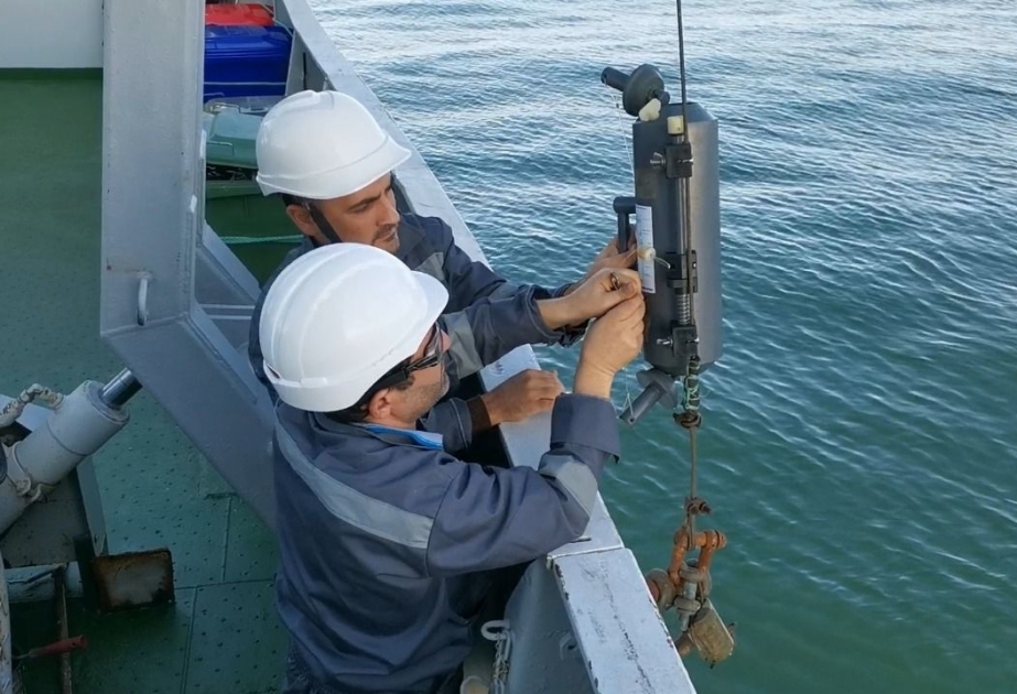Un groupe d'expédition observe le déplacement des phoques dans la mer Caspienne