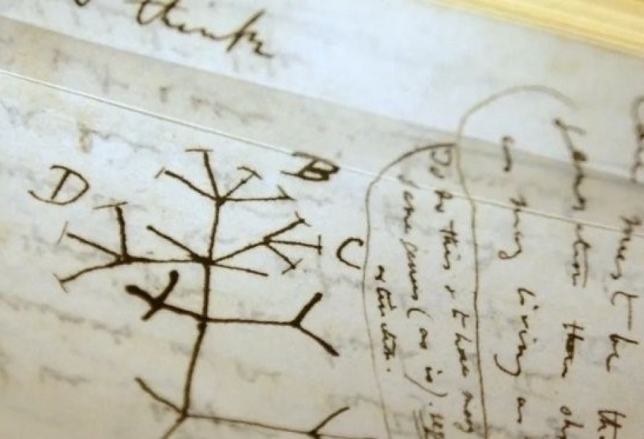 Darwin notebooks return to UK library two decades after vanishing