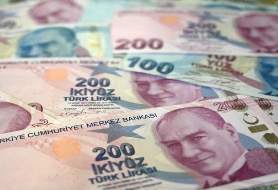 Türkiyənin milli valyuta ilə xarici ticarəti hər ay artmaqda davam edir

