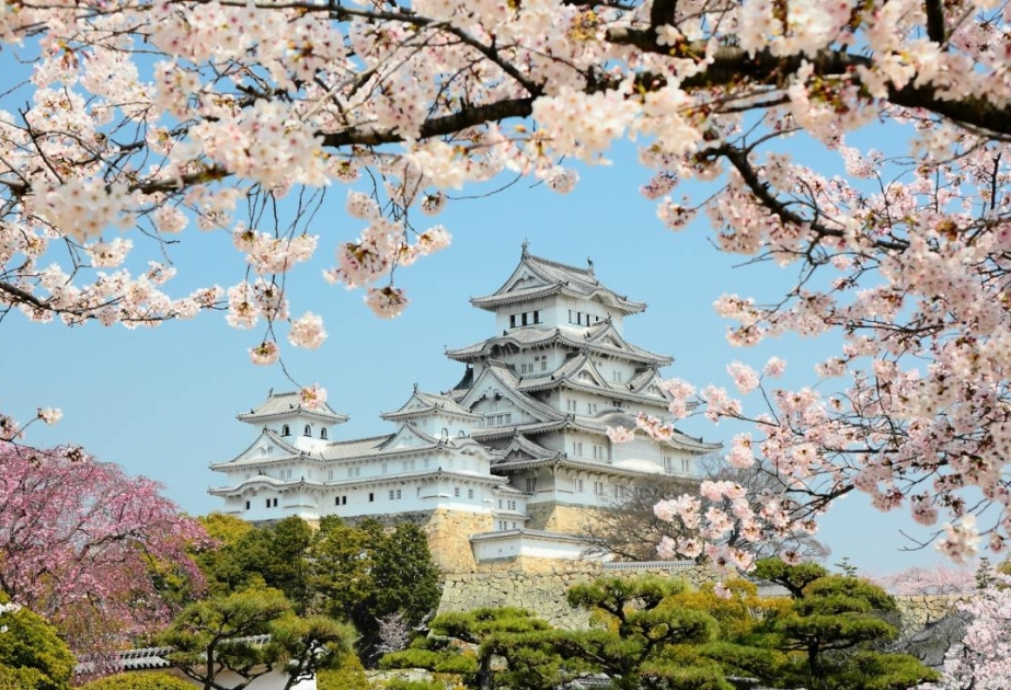 10 de los mejores destinos del mundo por su floración