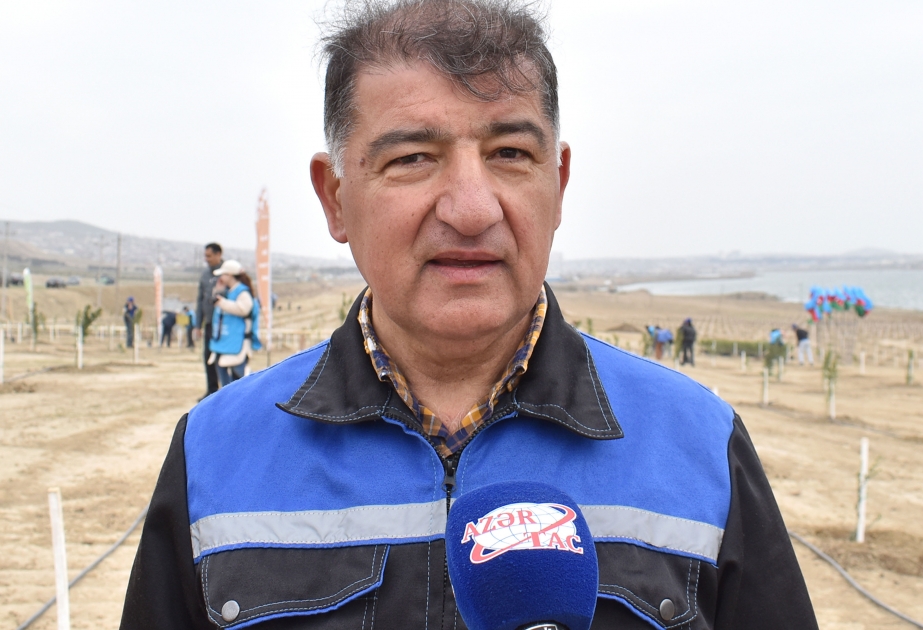 Firdovsi Əliyev: Xocasəndə 65 hektar ərazi yaşıllaşdırılır