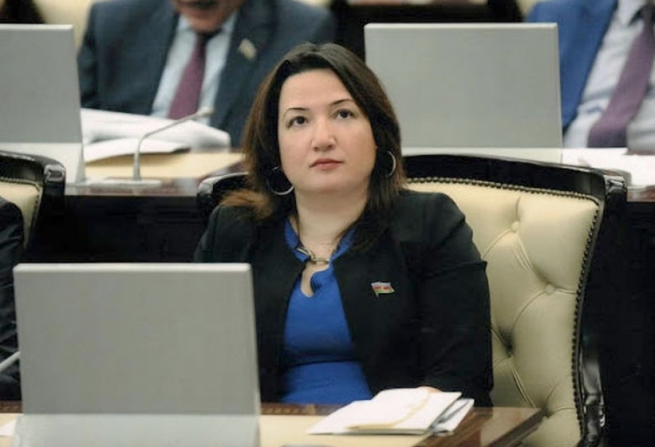 Deputat: Brüssel görüşü Azərbaycanın milli maraqlara söykənən düşünülmüş siyasətinin növbəti uğurudur