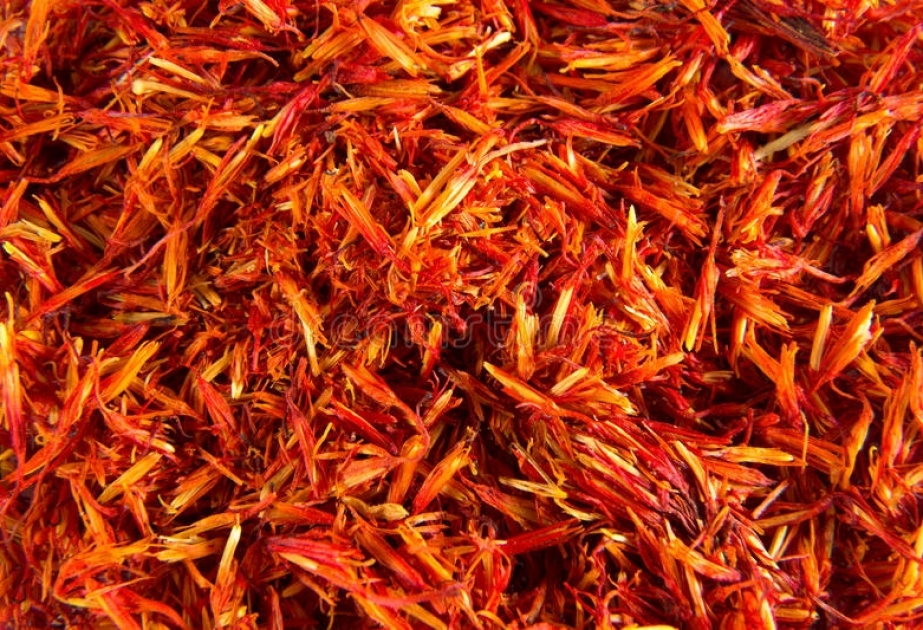 Saffron – world`s most expensive spice