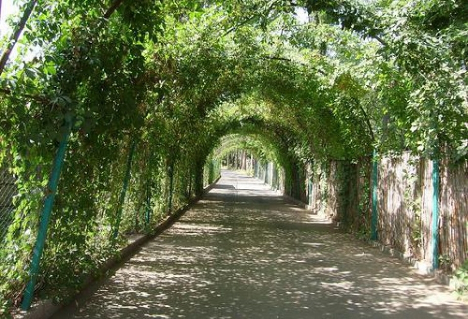 Azerbaijan’s Dendrology Institute - part of World Botanical Garden