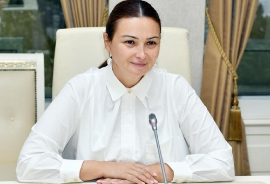 Qənirə Paşayeva: Brüssel sülh gündəliyi öz işlək mexanizmlərini doğrultmaqdadır