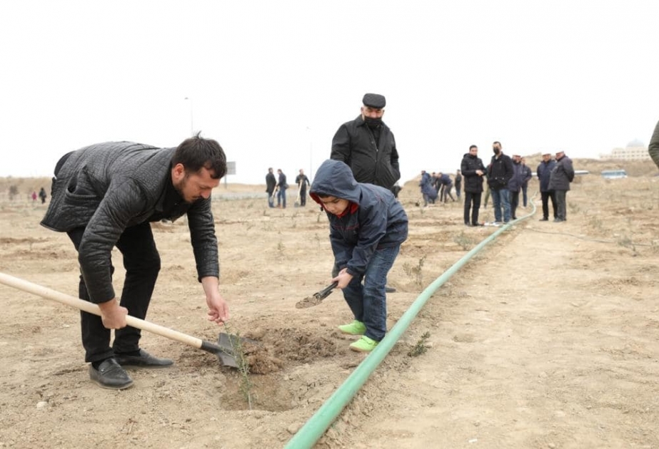 SOCAR-ın kollektivinin iştirakı ilə “Bibiheybətneft”in ərazisində iməcilik təşkil edilib