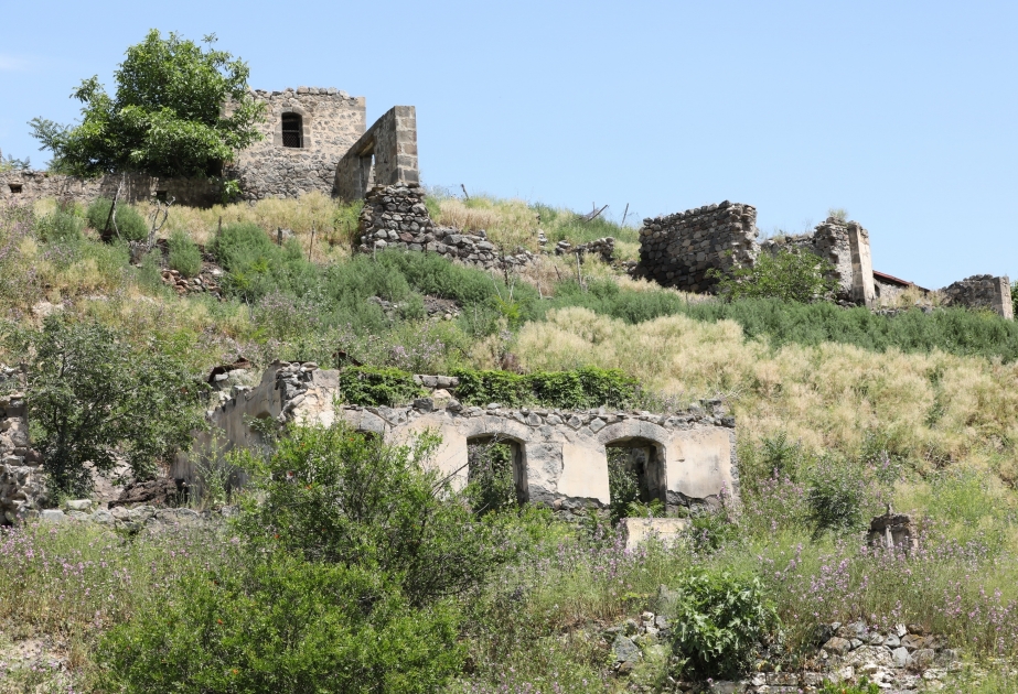 Aliguluushaghi village of Gubadli district