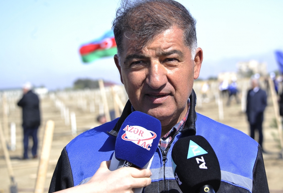 Firdovsi Əliyev: quraşdırılan suvarma sistemləri əkilən ağacların bitiş göstəricilərini 100 faiz edəcək