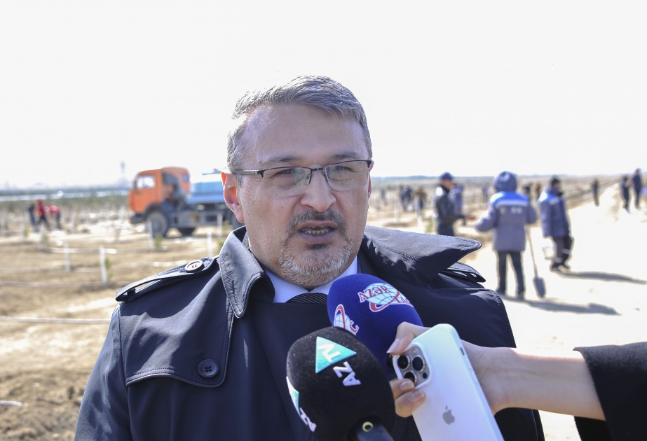 “Yaşıl Marafon 2022” kampaniyasında maliyyə qurumları da iştirak edib