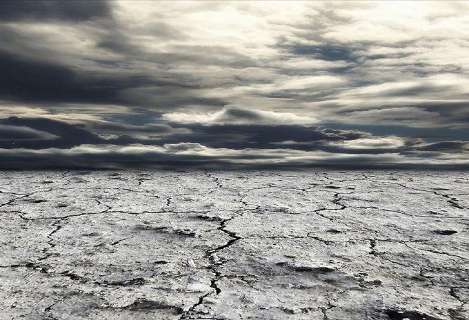 África oriental se enfrenta a una de sus peores sequías en 40 años