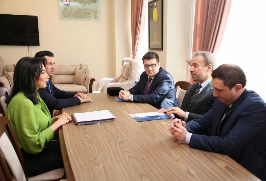 Türk dövlətlərinin ombudsman təsisatları arasında əməkdaşlığın gücləndirilməsi perspektivləri müzakirə edilib