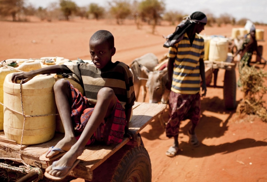 ЮНИСЕФ: Засуха на Африканском Роге ставит под угрозу жизни 20 млн человек