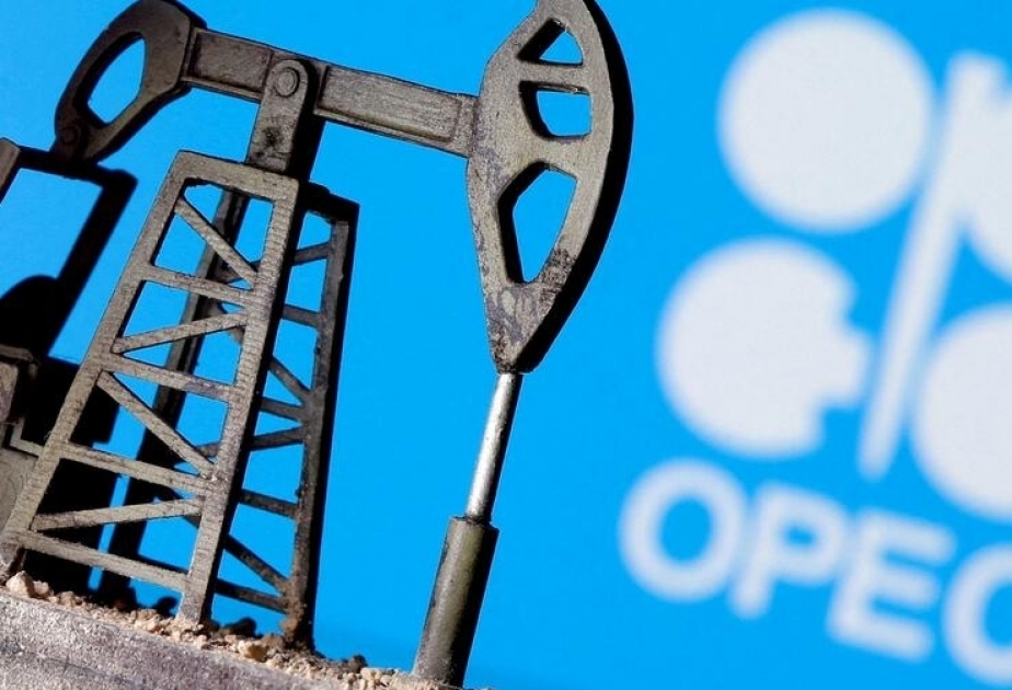 OPEP: “La demanda mundial de petróleo caerá este año”