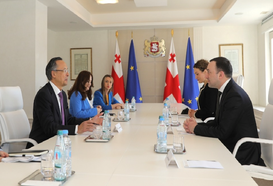 Georgian Prime Minister, OSCE High Commissioner on National Minorities discuss cooperation

