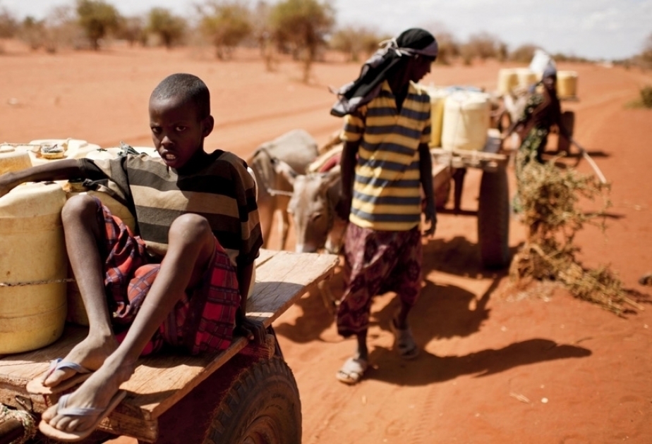 La sequía en el Cuerno de África pone en peligro la vida de 20 millones de personas