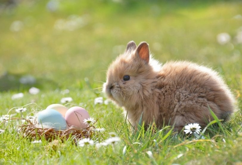 Origen y significado del Domingo de Resurrección o de Pascua
