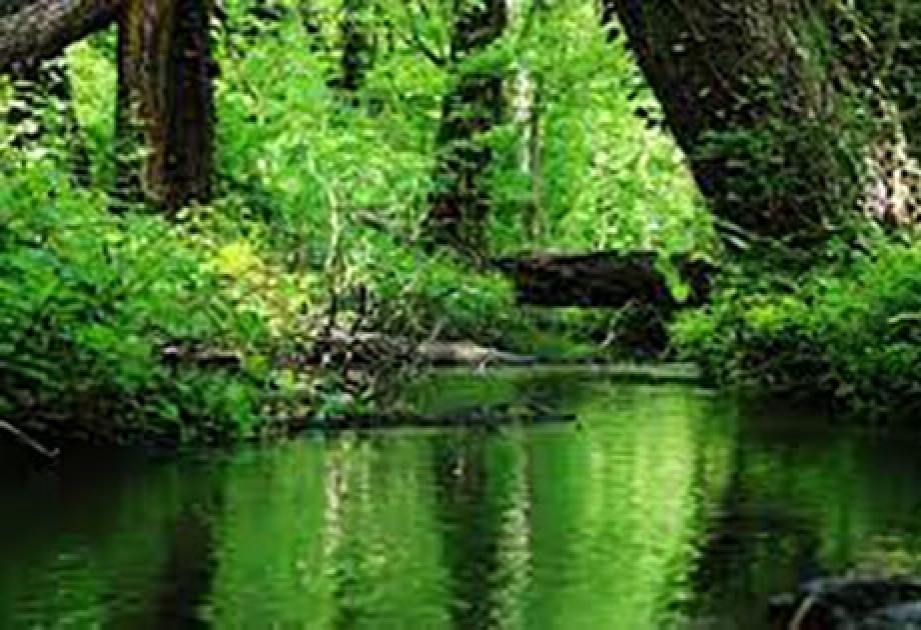 Samur-Yalama National Park
