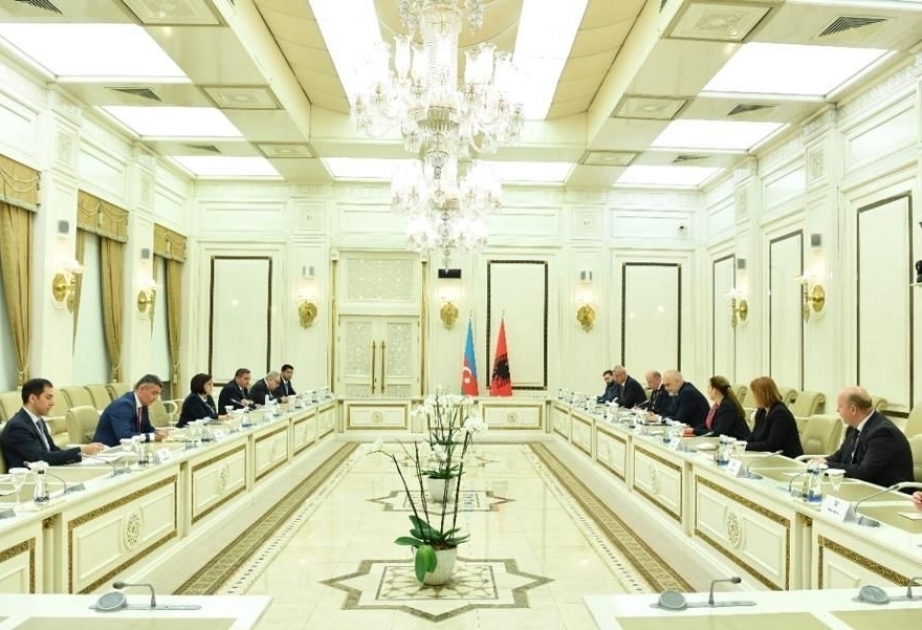 Сахиба Гафарова: Двусторонние отношения между Азербайджаном и Албанией успешно развиваются