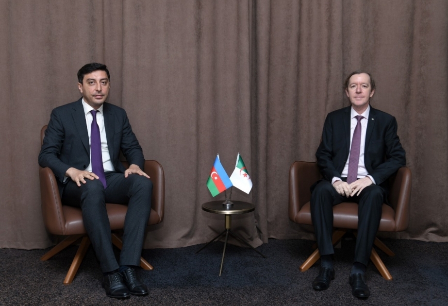 Azerbaijan's Minister of Youth and Sports meets with Algerian, Qatari ambassadors